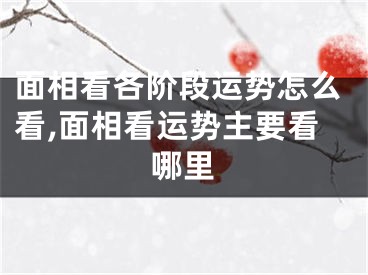面相看各阶段运势怎么看,面相看运势主要看哪里