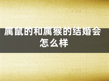 属鼠的和属猴的结婚会怎么样