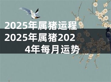 2025年属猪运程 2025年属猪2024年每月运势