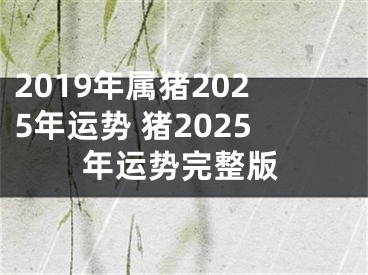 2019年属猪2025年运势 猪2025年运势完整版