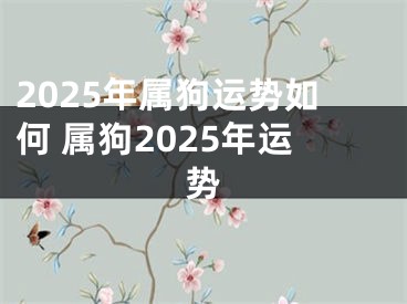 2025年属狗运势如何 属狗2025年运势