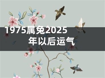 1975属兔2025年以后运气