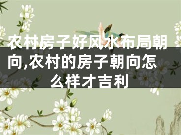 农村房子好风水布局朝向,农村的房子朝向怎么样才吉利