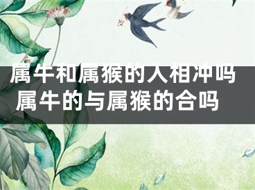 属牛和属猴的人相冲吗 属牛的与属猴的合吗