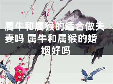 属牛和属猴的适合做夫妻吗 属牛和属猴的婚姻好吗