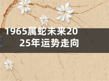 1965属蛇未来2025年运势走向