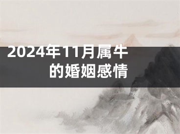 2024年11月属牛的婚姻感情