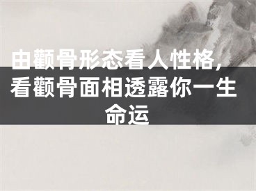 由颧骨形态看人性格,看颧骨面相透露你一生命运