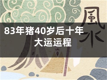 83年猪40岁后十年大运运程