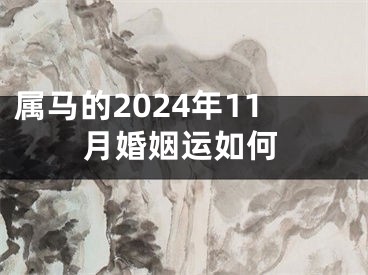 属马的2024年11月婚姻运如何