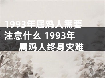 1993年属鸡人需要注意什么 1993年属鸡人终身灾难
