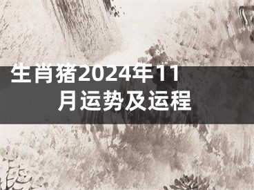 生肖猪2024年11月运势及运程