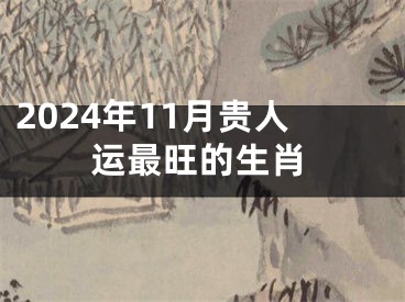 2024年11月贵人运最旺的生肖