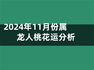 2024年11月份属龙人桃花运分析