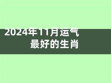 2024年11月运气最好的生肖