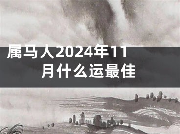 属马人2024年11月什么运最佳