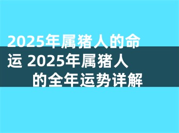 2025年属猪人的命运 2025年属猪人的全年运势详解