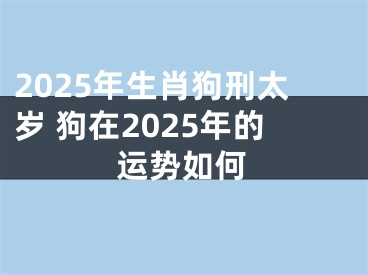 2025年生肖狗刑太岁 狗在2025年的运势如何