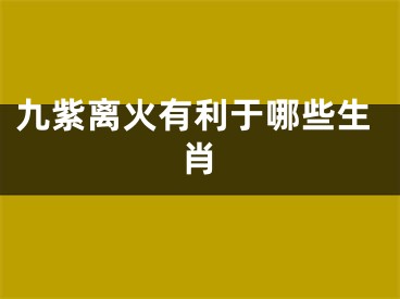 九紫离火有利于哪些生肖