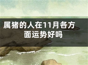属猪的人在11月各方面运势好吗