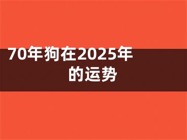 70年狗在2025年的运势