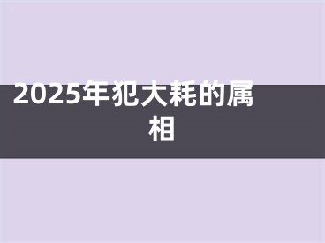 2025年犯大耗的属相