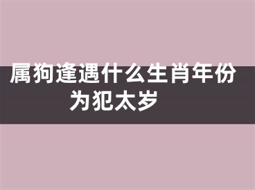 属狗逢遇什么生肖年份为犯太岁 