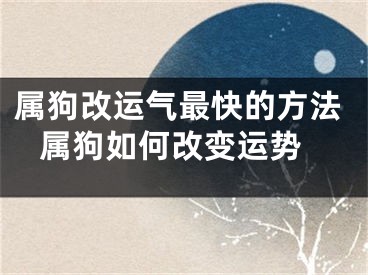 属狗改运气最快的方法 属狗如何改变运势