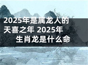 2025年是属龙人的天喜之年 2025年生肖龙是什么命
