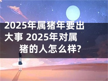 2025年属猪年要出大事 2025年对属猪的人怎么样?