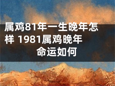 属鸡81年一生晚年怎样 1981属鸡晚年命运如何