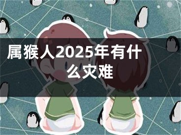 属猴人2025年有什么灾难