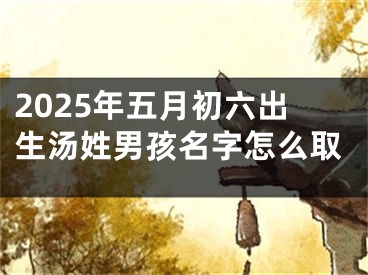 2025年五月初六出生汤姓男孩名字怎么取