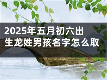 2025年五月初六出生龙姓男孩名字怎么取