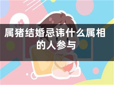 属猪结婚忌讳什么属相的人参与