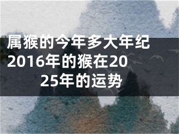 属猴的今年多大年纪 2016年的猴在2025年的运势
