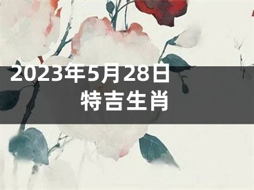 2023年5月28日特吉生肖