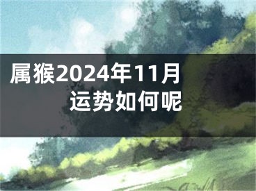 属猴2024年11月运势如何呢