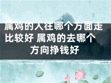 属鸡的人往哪个方面走比较好 属鸡的去哪个方向挣钱好