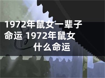 1972年鼠女一辈子命运 1972年鼠女什么命运