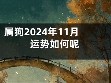 属狗2024年11月运势如何呢
