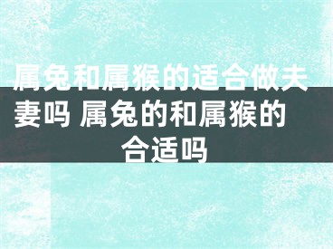 属兔和属猴的适合做夫妻吗 属兔的和属猴的合适吗