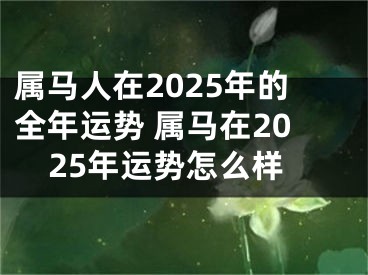 属马人在2025年的全年运势 属马在2025年运势怎么样