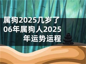 属狗2025几岁了 06年属狗人2025年运势运程