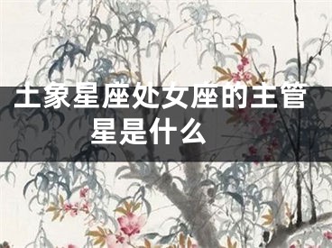 土象星座处女座的主管星是什么 