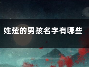 姓楚的男孩名字有哪些