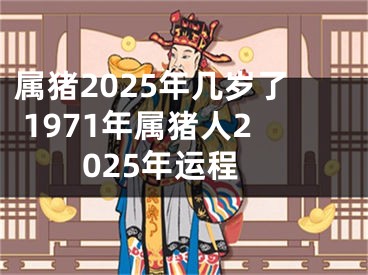 属猪2025年几岁了 1971年属猪人2025年运程