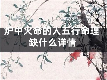 炉中火命的人五行命理缺什么详情