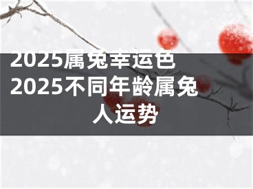2025属兔幸运色 2025不同年龄属兔人运势