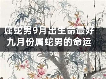 属蛇男9月出生命最好 九月份属蛇男的命运